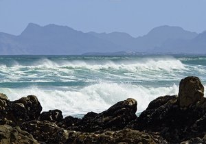 Wonders of Nature - Gansbaai Weekly Inspiration